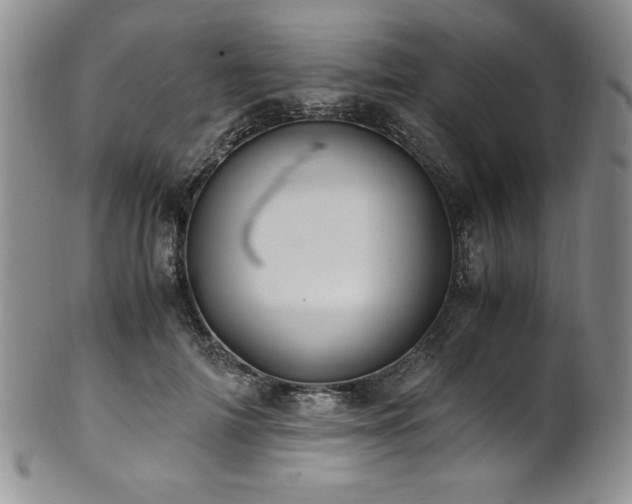 X0000101710698200807101605