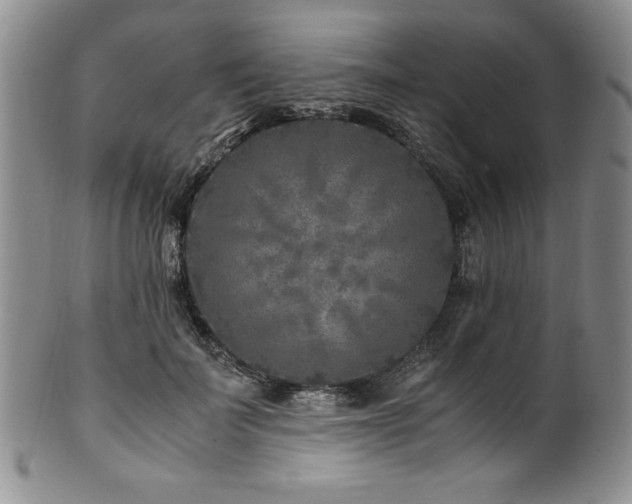 X0000101710699200807101605