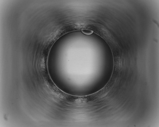 X0000101710700200807101605