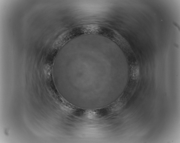 X0000101710701200807101605