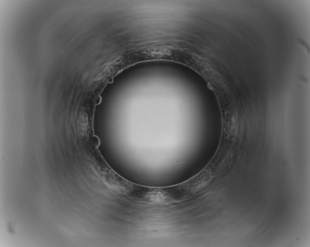 X0000101710704200807101605