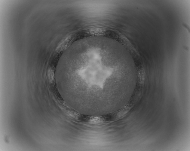 X0000101710705200807101605