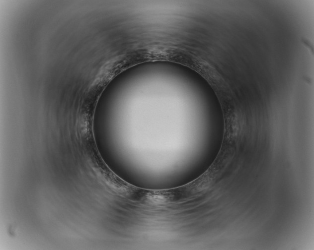 X0000101710706200807101605