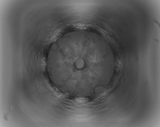 X0000101710707200807101605