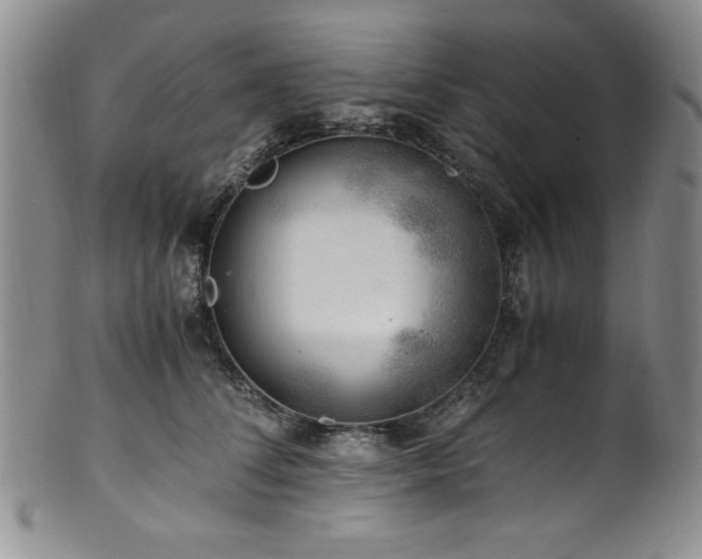 X0000101710708200807101605