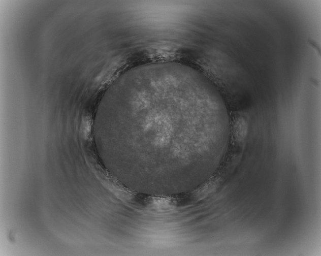 X0000101710709200807101605