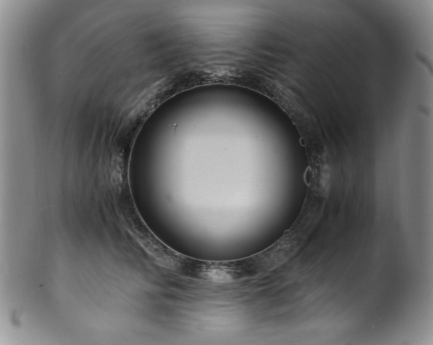 X0000101710710200807101605