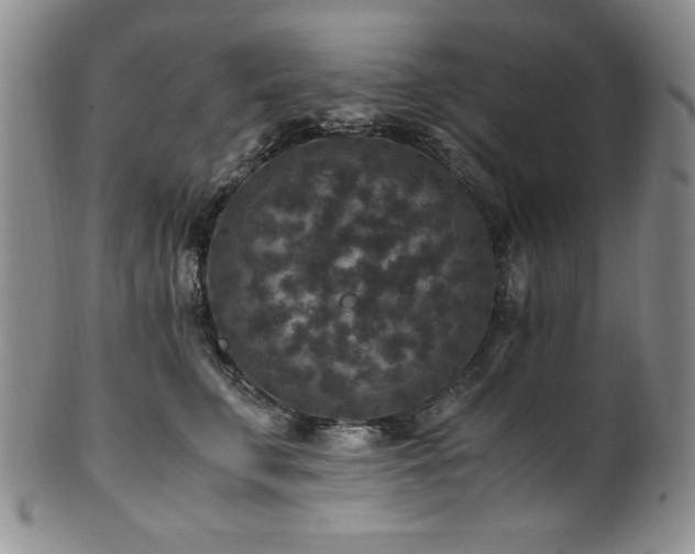 X0000101710711200807101605