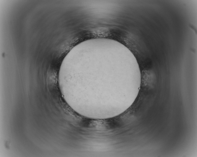 X0000101710713200807101605