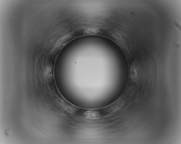 X0000101710714200807101605
