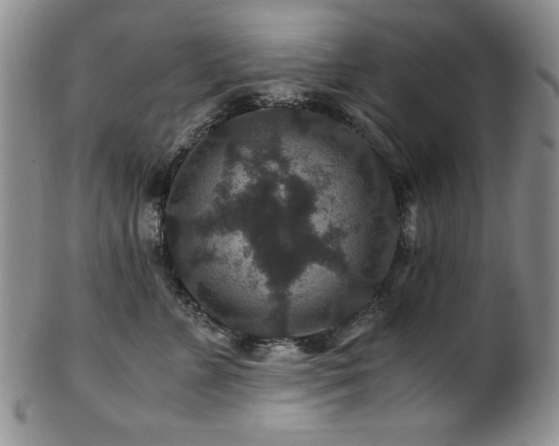 X0000101710715200807101605