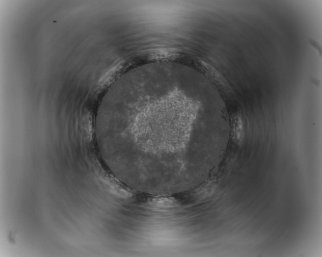 X0000101710716200807101605