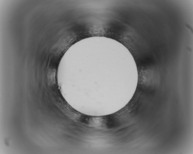 X0000101710717200807101605