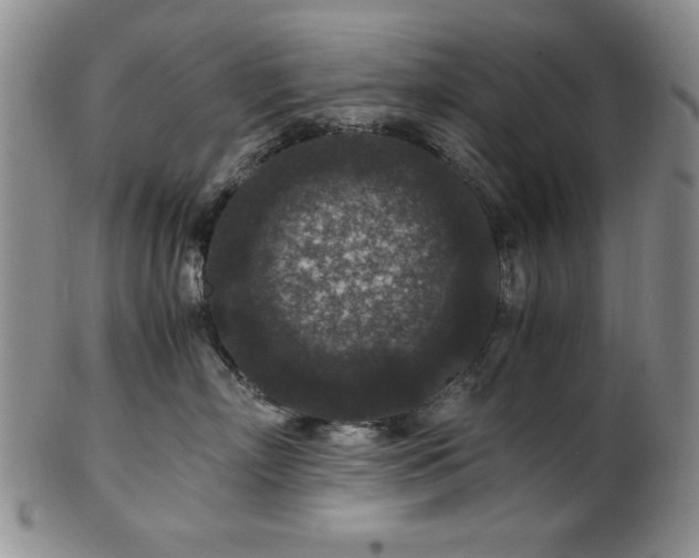 X0000101710718200807101605