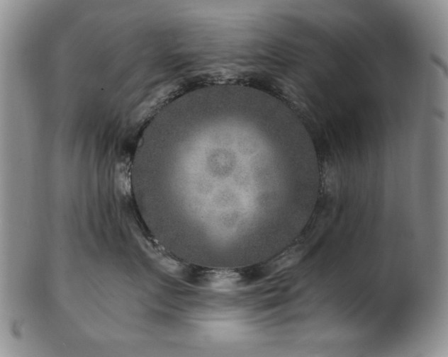 X0000101710719200807101605