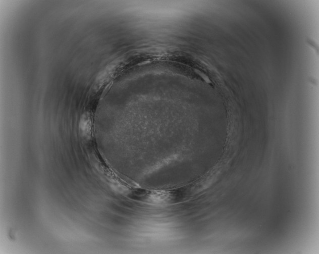 X0000101710720200807101605
