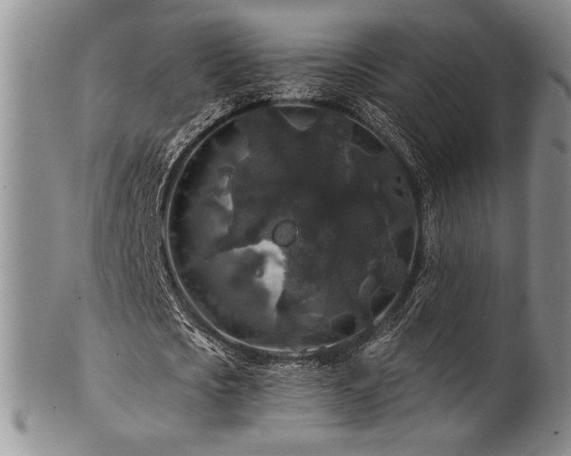 X0000101710721200807101604