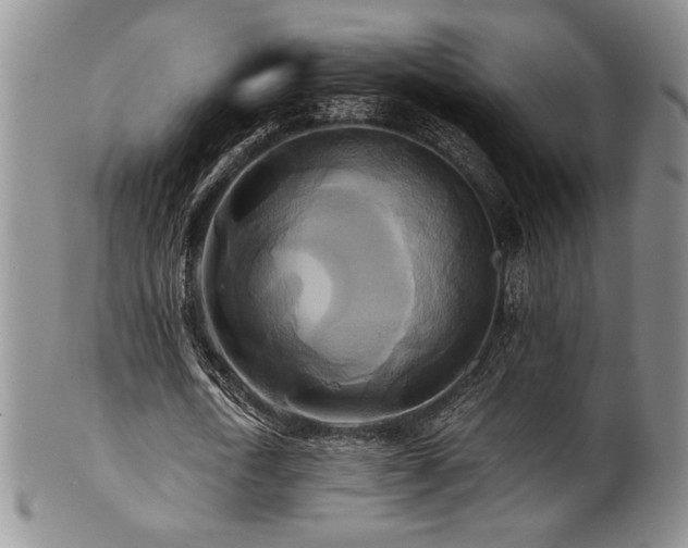 X0000101710722200807101604