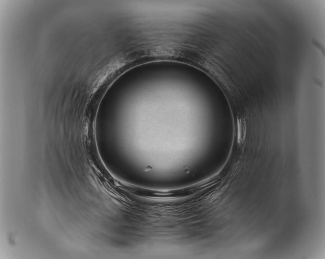 X0000101710723200807101604
