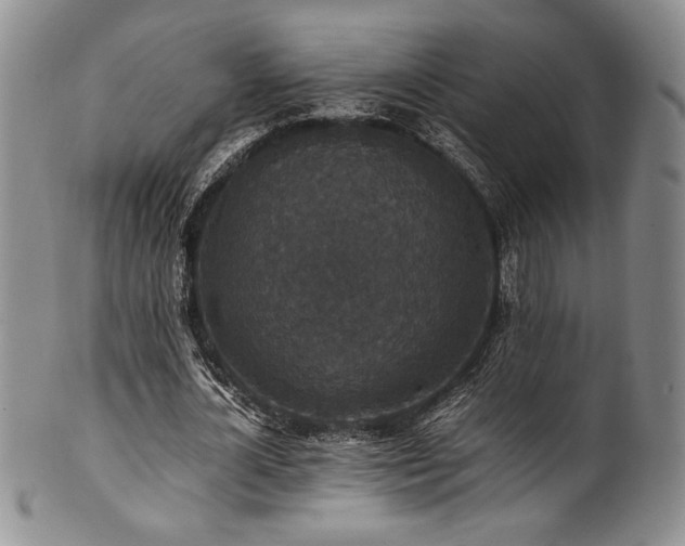 X0000101710724200807101604