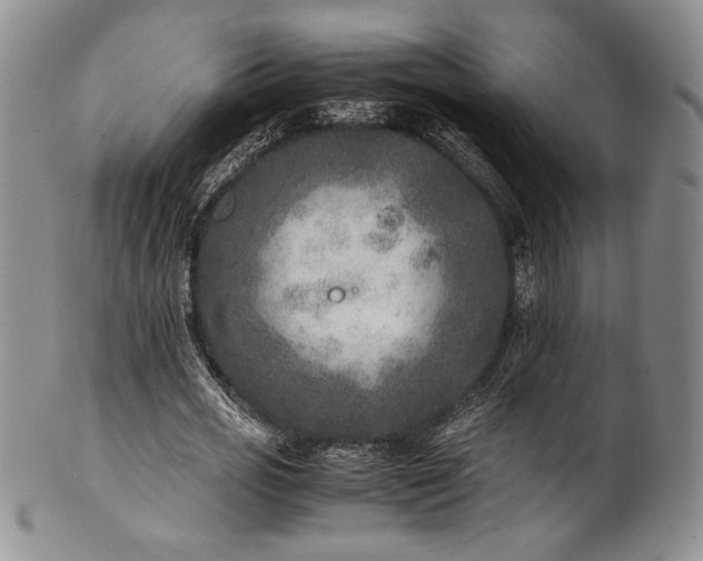 X0000101710725200807101604