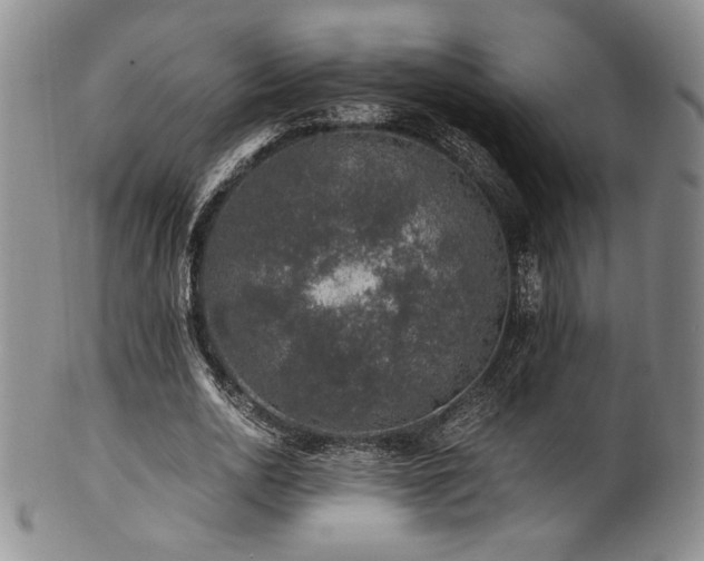 X0000101710726200807101604