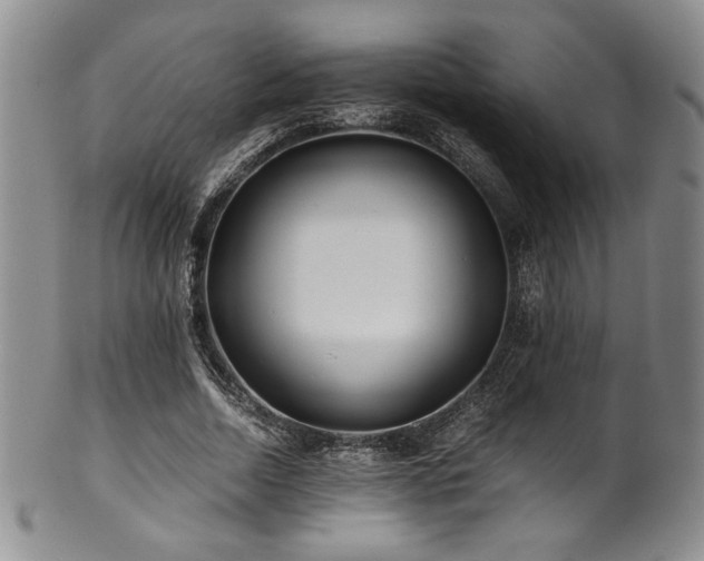 X0000101710730200807101604