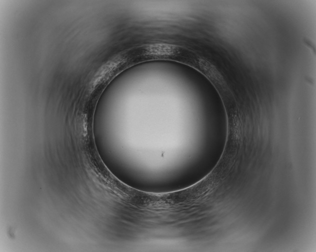 X0000101710731200807101604