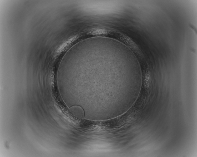 X0000101710732200807101604
