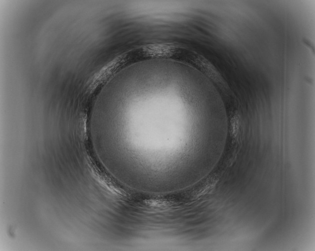 X0000101710733200807101604
