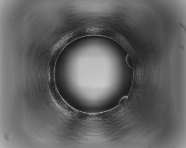 X0000101710734200807101604