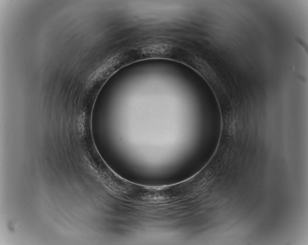X0000101710735200807101604