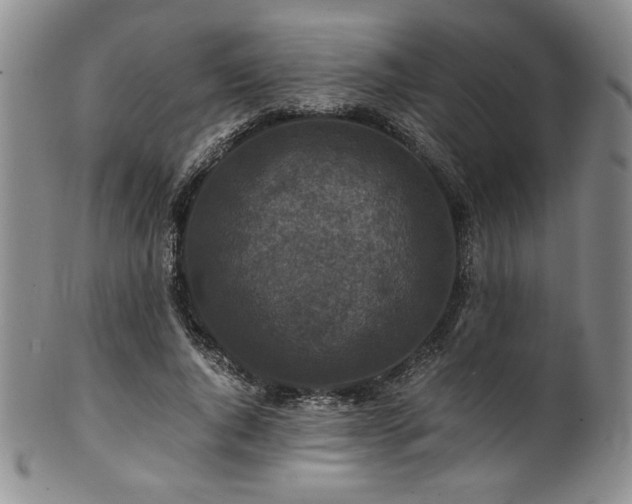 X0000101710736200807101604