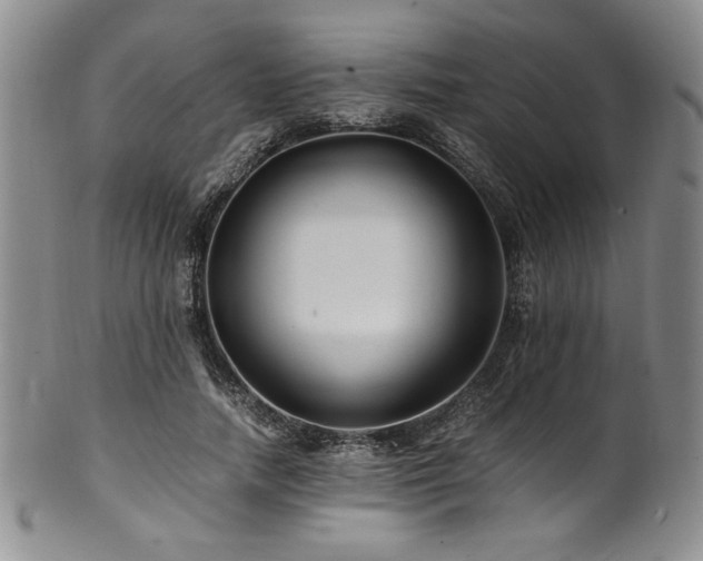 X0000101710738200807101604