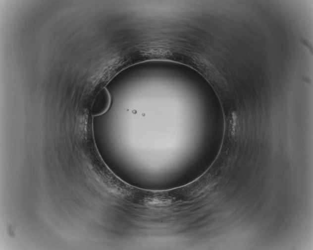 X0000101710739200807101604
