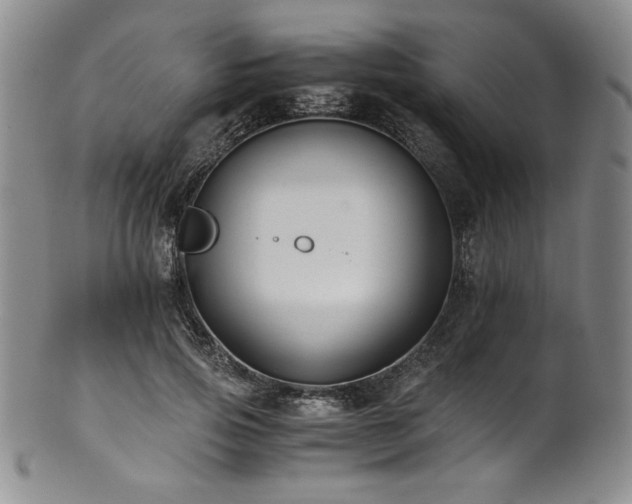 X0000101710741200807101604