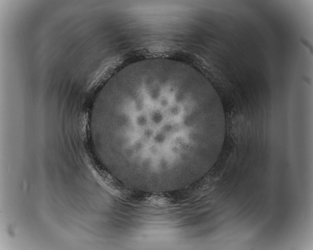 X0000101710742200807101604