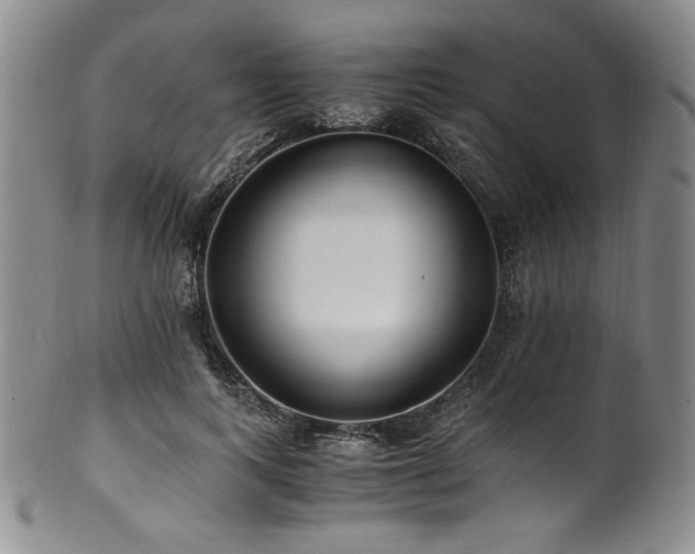 X0000101710743200807101604