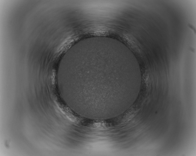 X0000101710744200807101604