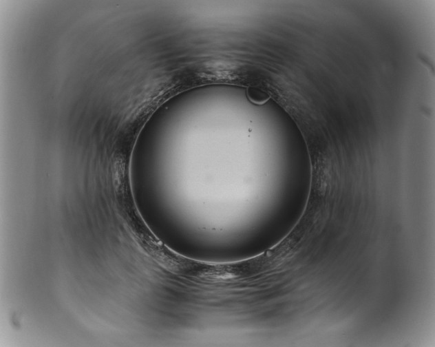 X0000101710747200807101604