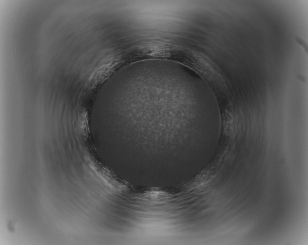 X0000101710748200807101604