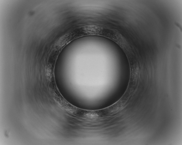 X0000101710749200807101604