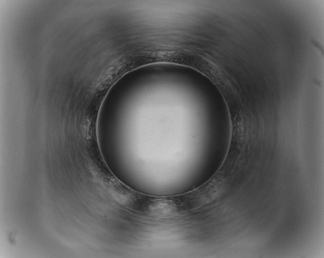 X0000101710750200807101604