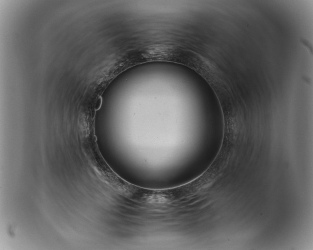 X0000101710751200807101604