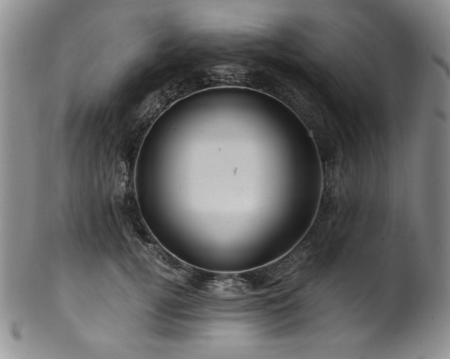 X0000101710752200807101604