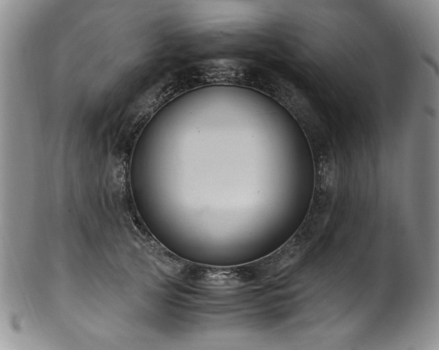 X0000101710753200807101604