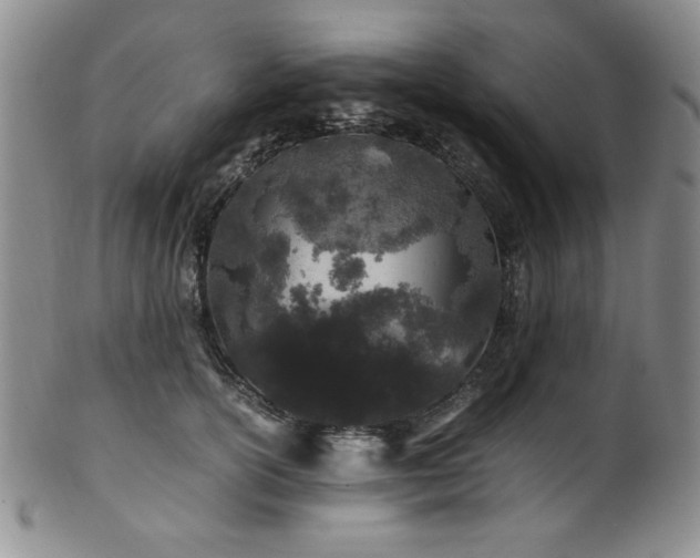 X0000101710754200807101604