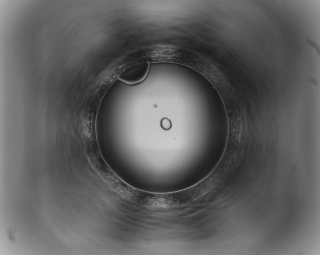 X0000101710755200807101604