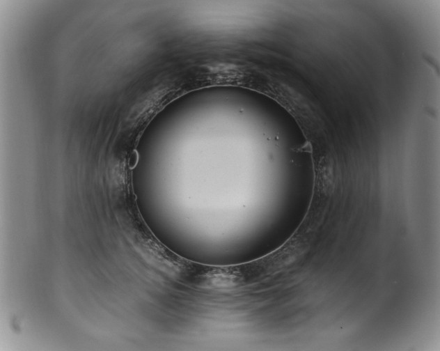 X0000101710756200807101604