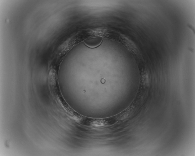 X0000101710757200807101604